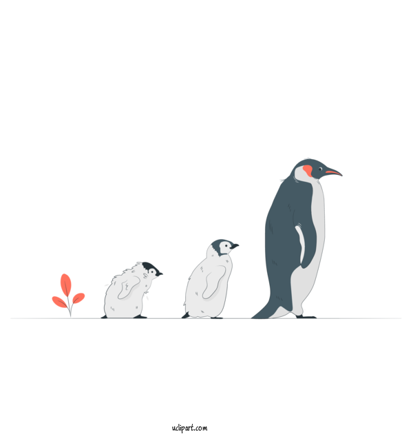 Free People Penguins Drawing Royal Penguin For Family Clipart Transparent Background