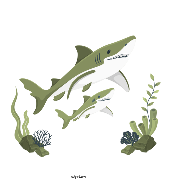 Free People Sharks Flora Sea For Family Clipart Transparent Background