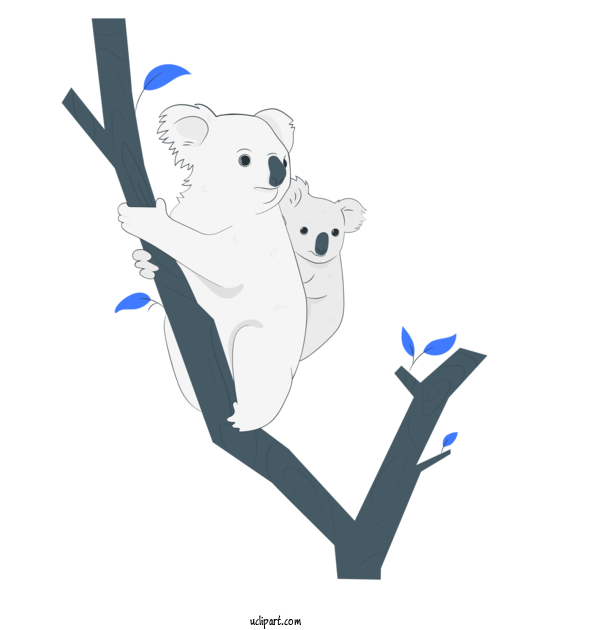 Free People Koala Cartoon Bears For Family Clipart Transparent Background