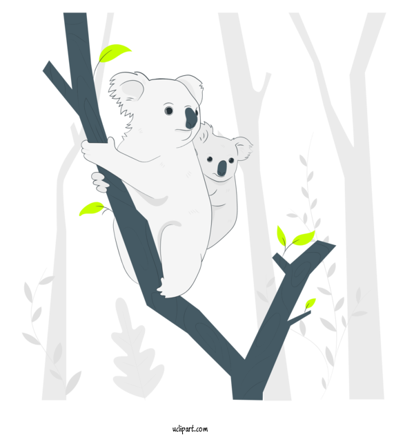 Free People Koala Cartoon Sloths For Family Clipart Transparent Background
