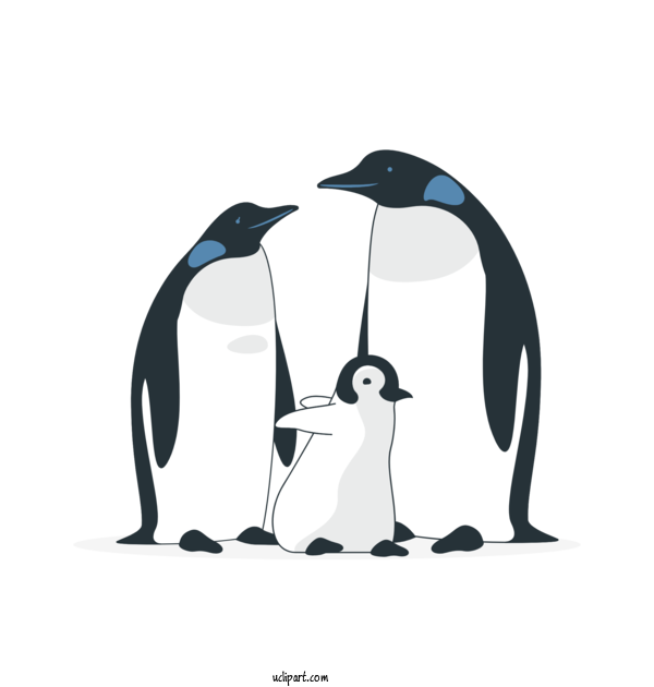 Free People Penguins King Penguin Drawing For Family Clipart Transparent Background