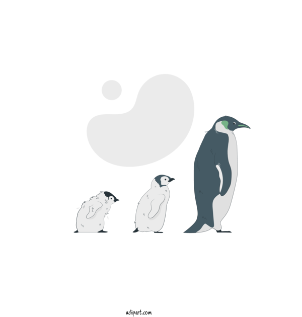 Free People Penguins Birds Flightless Bird For Family Clipart Transparent Background