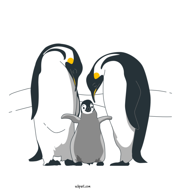 Free People Explore My World Penguins Penguins Drawing For Family Clipart Transparent Background