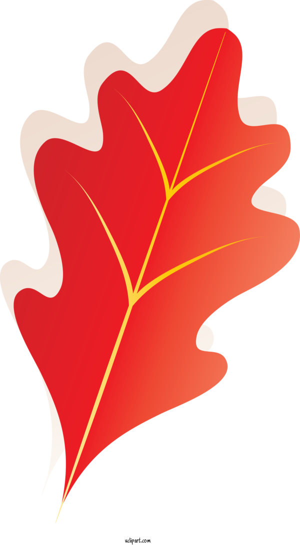Free Nature Leaf Maple Leaf Tree For Autumn Clipart Transparent Background