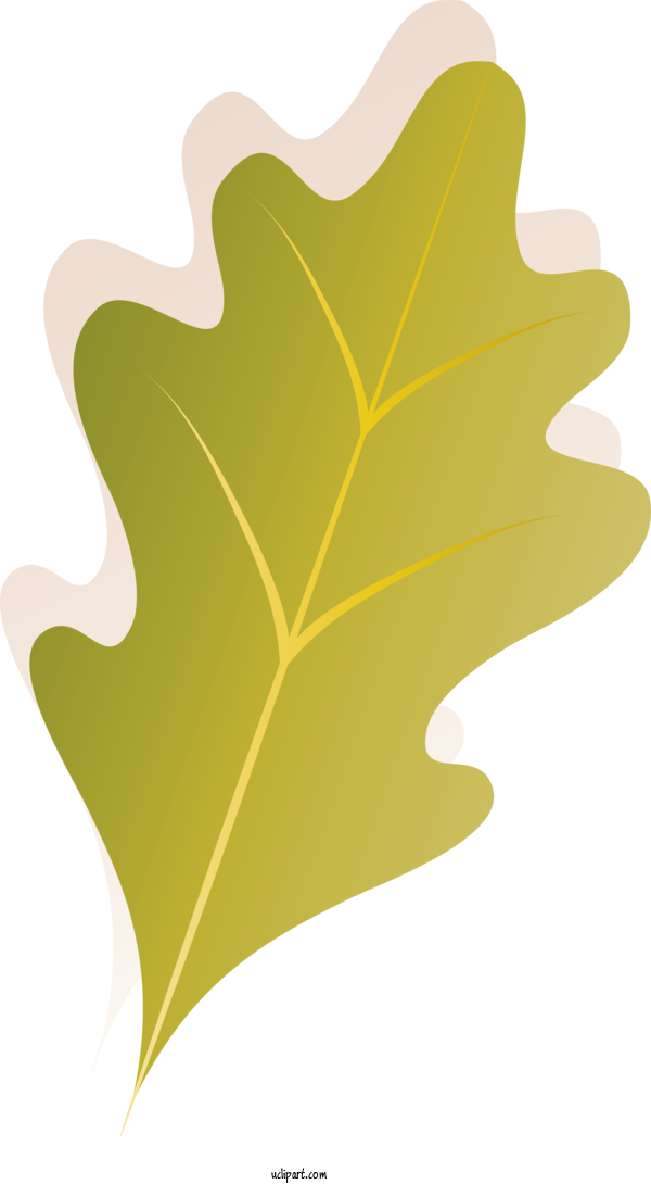 Free Nature Leaf Tree Meter For Autumn Clipart Transparent Background