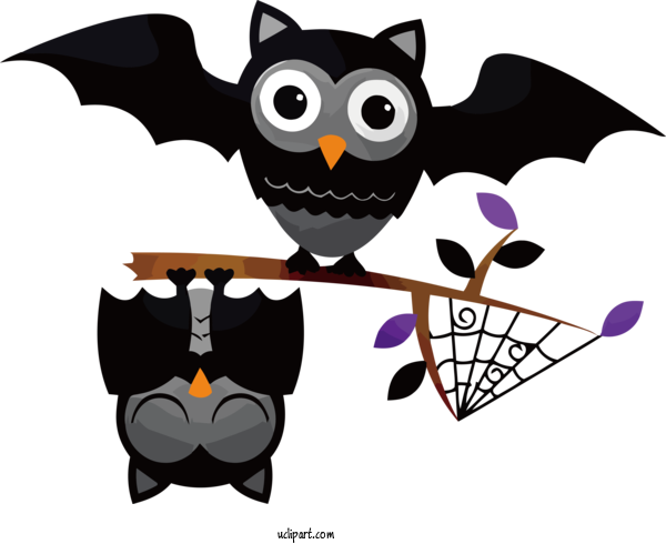 Free Holidays Owls Birds Cartoon For Halloween Clipart Transparent Background