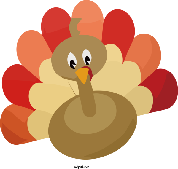 Free Holidays Landfowl Birds Rooster For Thanksgiving Clipart Transparent Background