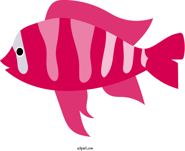 Free Animals Cartoon Meter Fish For Fish Clipart Transparent Background