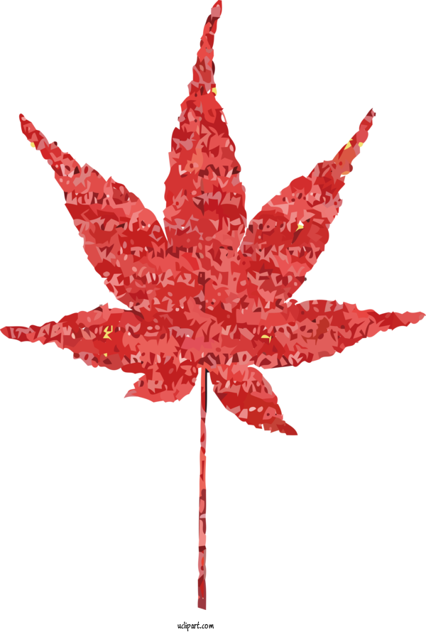 Free Nature Japanese Maple Leaf Tree For Autumn Clipart Transparent Background