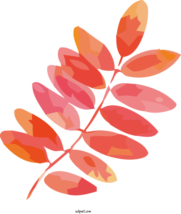 Free Nature Leaf Petal Flower For Leaf Clipart Transparent Background