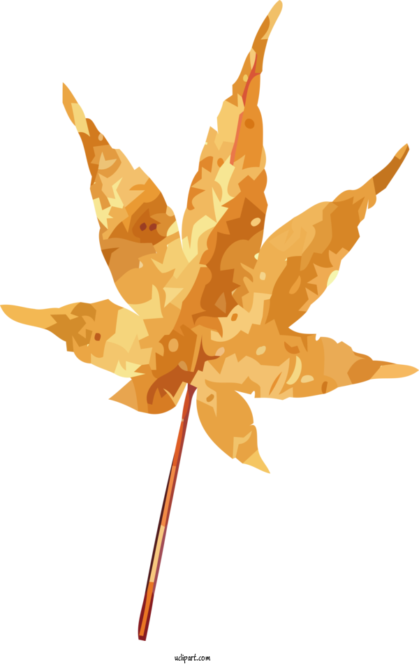 Free Nature Leaf Plant Stem Maple Leaf For Autumn Clipart Transparent Background