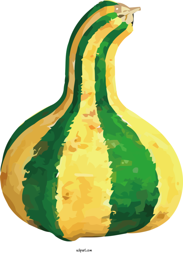 Free Holidays Squash Winter Squash Gourd For Thanksgiving Clipart Transparent Background