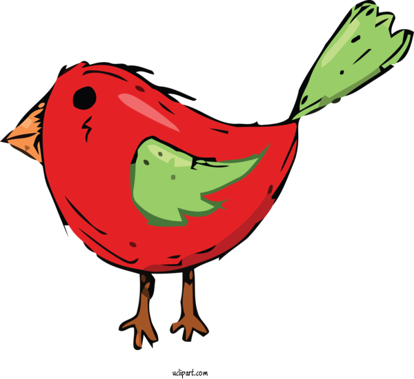 Free Animals Landfowl Chicken Cartoon For Bird Clipart Transparent Background