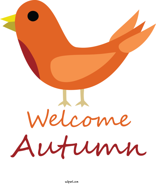 Free Nature Birds Cartoon Beak For Autumn Clipart Transparent Background