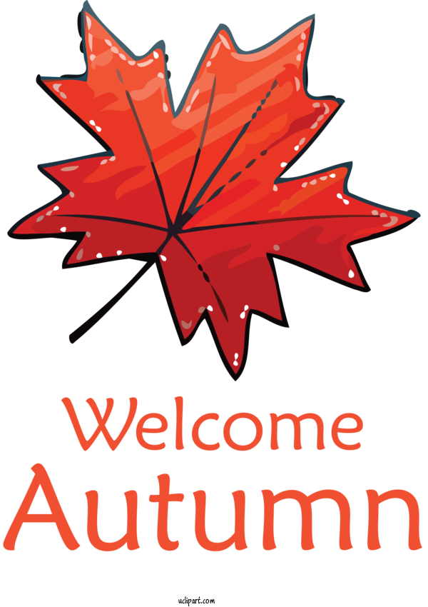 Free Nature Maple Leaf Leaf Design For Autumn Clipart Transparent Background