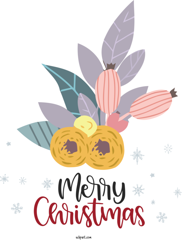 Free Holidays Floral Design Logo Petal For Christmas Clipart Transparent Background