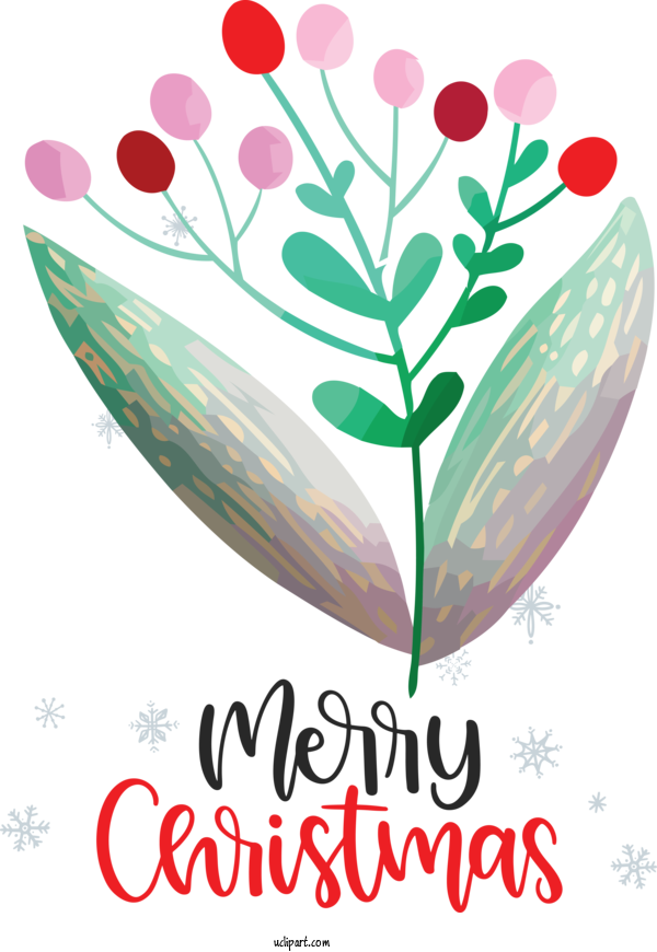 Free Holidays Flower Design Petal For Christmas Clipart Transparent Background