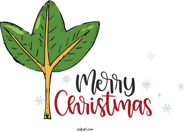 Free Holidays Leaf Plant Stem Logo For Christmas Clipart Transparent Background