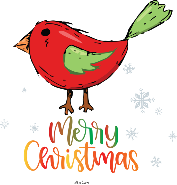 Free Holidays Birds Leaf Beak For Christmas Clipart Transparent Background
