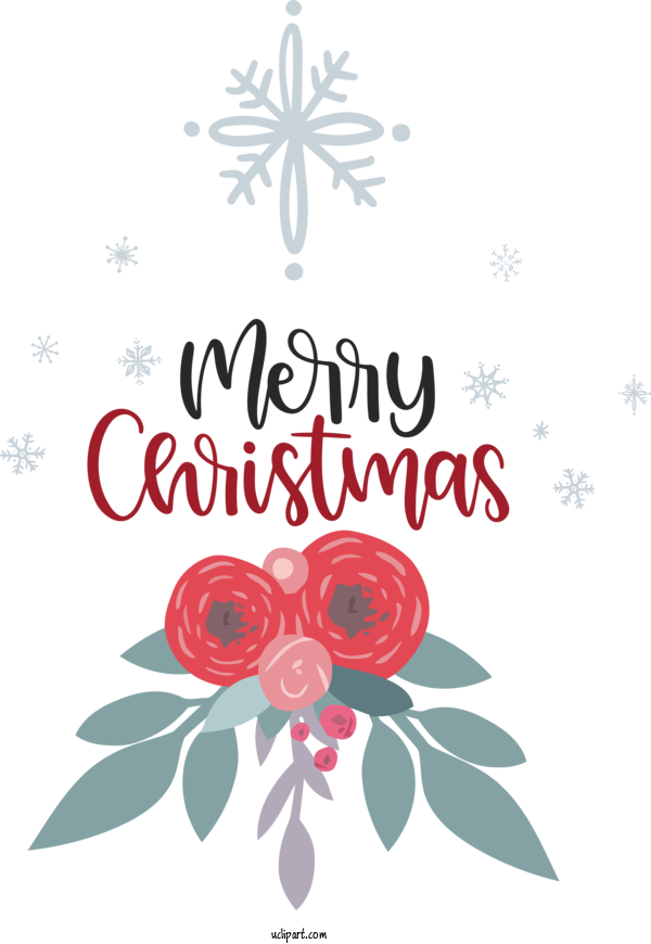 Free Holidays Cartoon Design Flower For Christmas Clipart Transparent Background