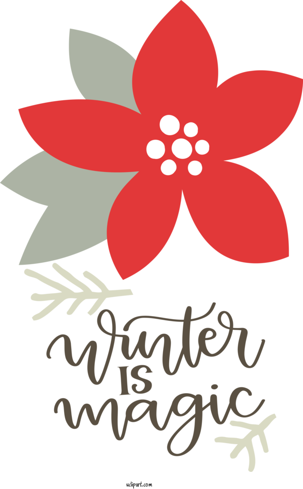 Free Nature Floral Design Cut Flowers Design For Winter Clipart Transparent Background