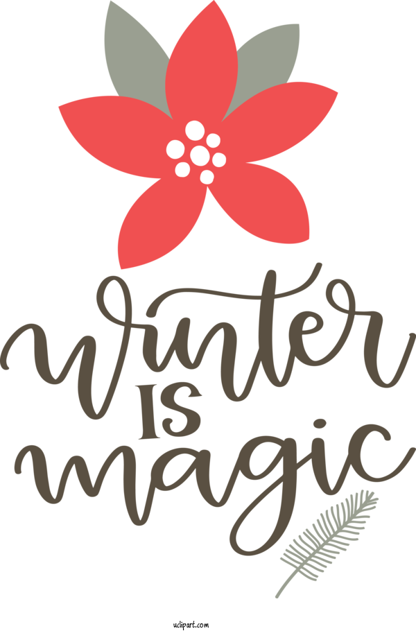 Free Nature Floral Design Design Cut Flowers For Winter Clipart Transparent Background