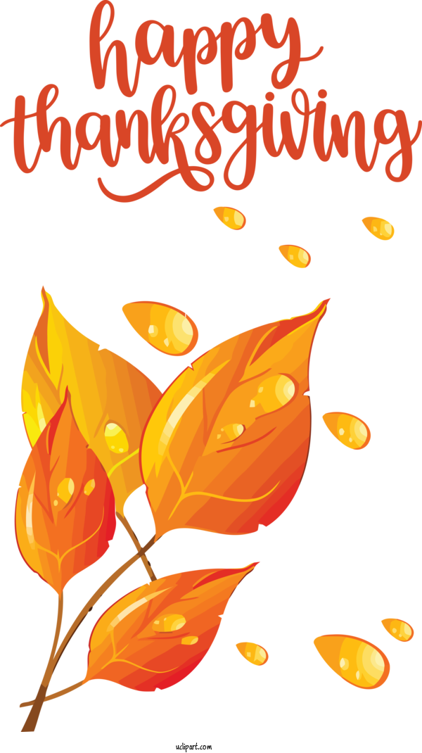 Free Holidays Flower Leaf Petal For Thanksgiving Clipart Transparent Background