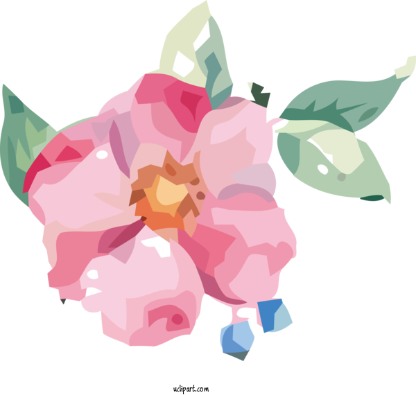 Free Flowers Floral Design Rose Family Design For Flower Clipart Clipart Transparent Background