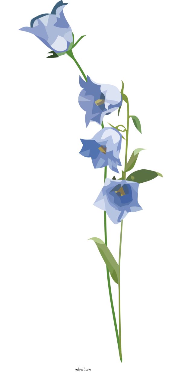 Free Flowers Plant Stem Harebell Petal For Flower Clipart Clipart Transparent Background