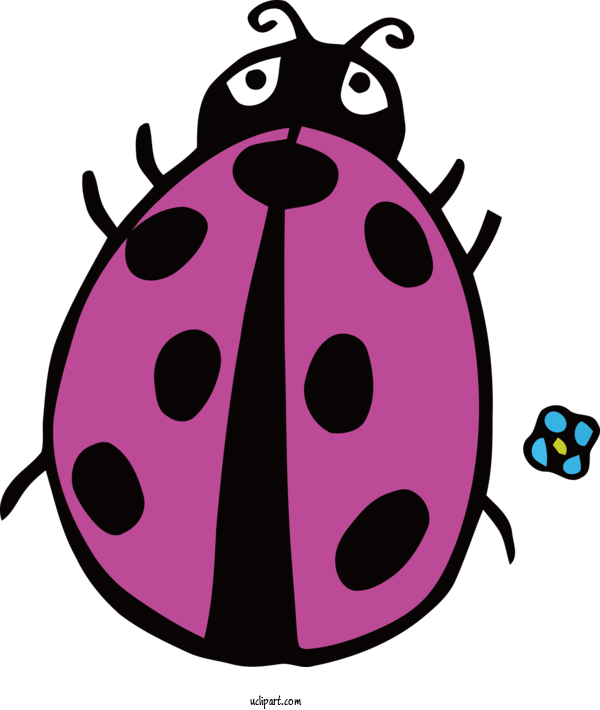 Free Animals Cartoon Beetles Science For Ladybird Clipart Transparent Background