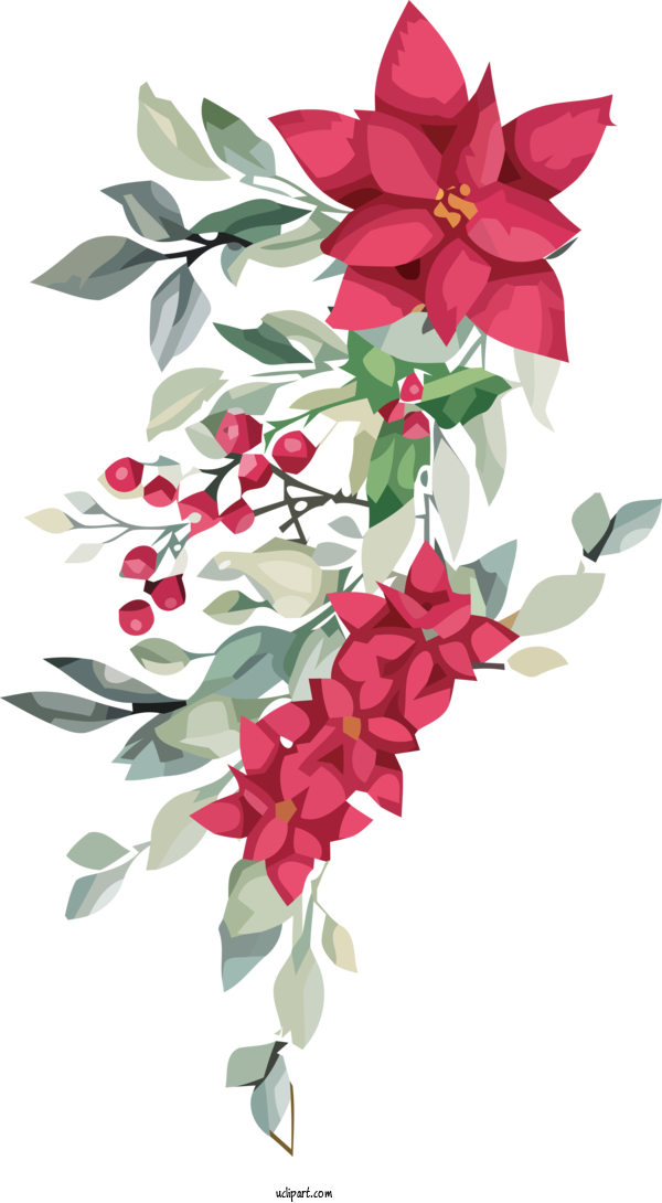 Free Flowers Floral Design Plant Stem Rose Family For Flower Clipart Clipart Transparent Background