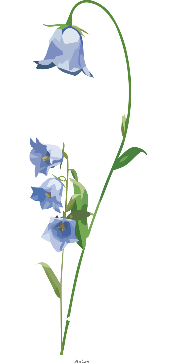 Free Flowers Cut Flowers Leaf Harebell For Flower Clipart Clipart Transparent Background