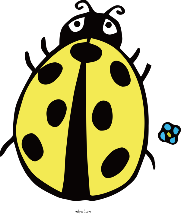 Free Animals Insect Yellow Science For Ladybird Clipart Transparent Background