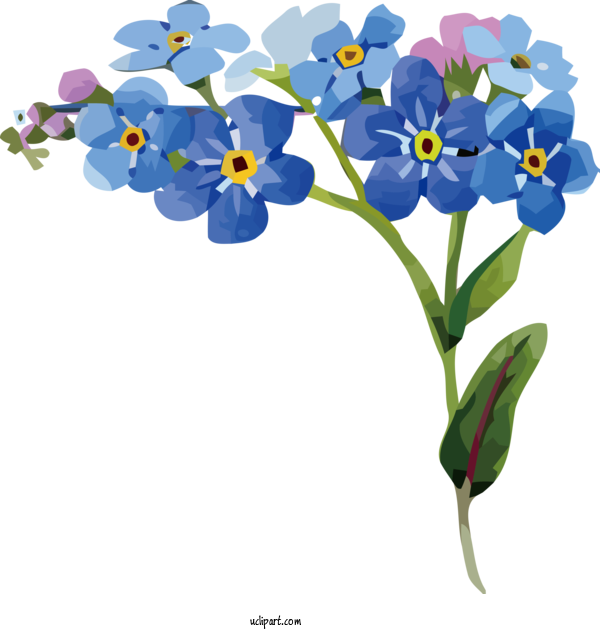Free Flowers Plant Stem Borages Floral Design For Flower Clipart Clipart Transparent Background