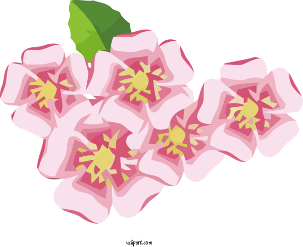 Free Flowers Floral Design Design Herbaceous Plant For Flower Clipart Clipart Transparent Background