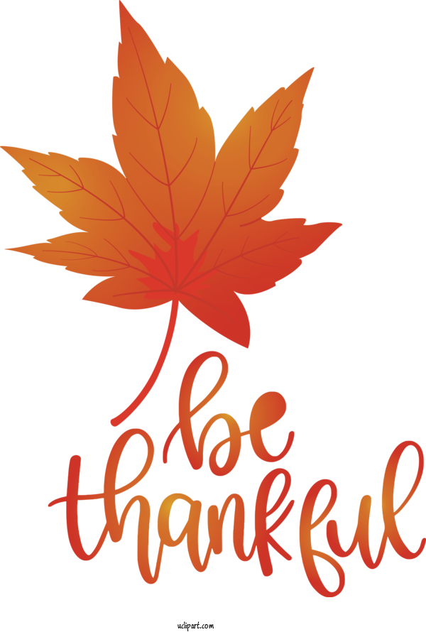 Free Holidays Leaf Maple Leaf Flower For Thanksgiving Clipart Transparent Background
