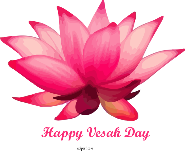 Free Holidays Sacred Lotus Drawing Flower For Vesak Clipart Transparent Background
