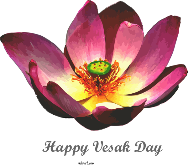 Free Holidays Flower Sacred Lotus Egyptian Lotus For Vesak Clipart Transparent Background