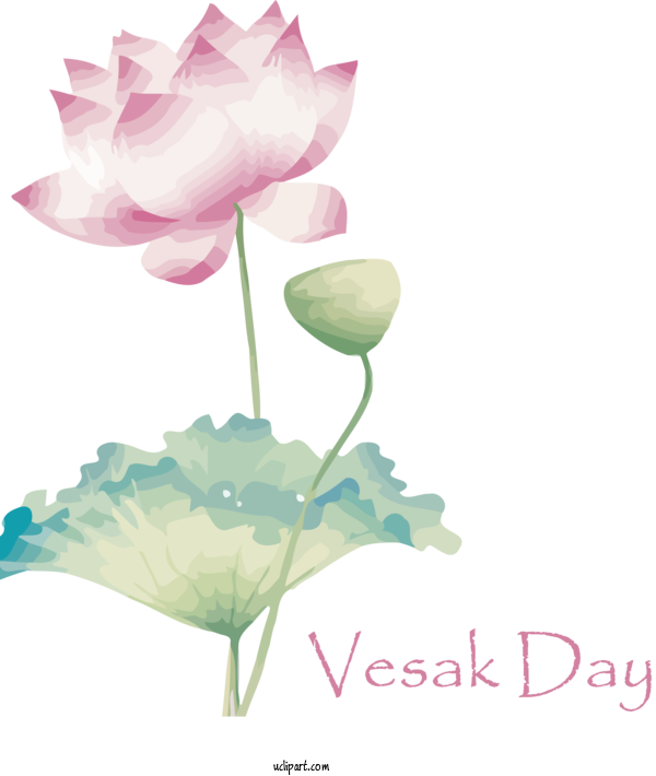 Free Holidays Vesak Buddha's Birthday Lotus Sutra For Vesak Clipart Transparent Background