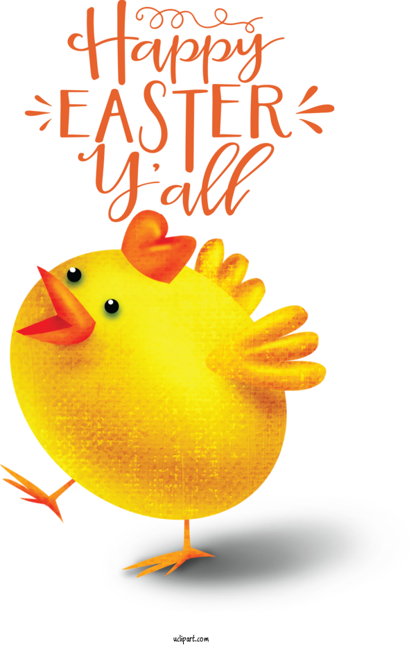 Free Holidays Birds Beak Meter For Easter Clipart Transparent Background