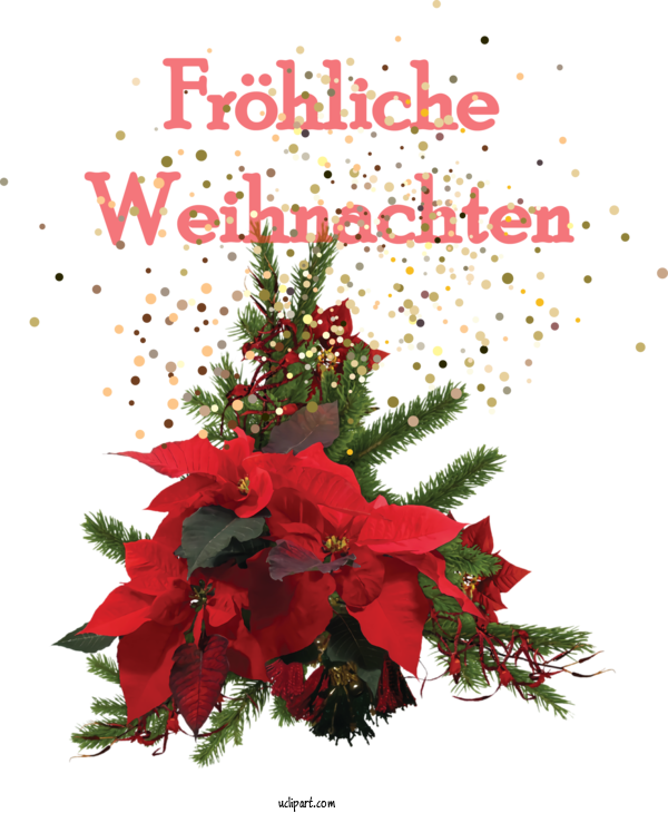 Free Holidays Cut Flowers Poinsettia Floral Design For Christmas Clipart Transparent Background