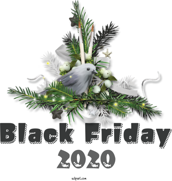 Free Holidays Fir Christmas Day Christmas Tree For Black Friday Clipart Transparent Background