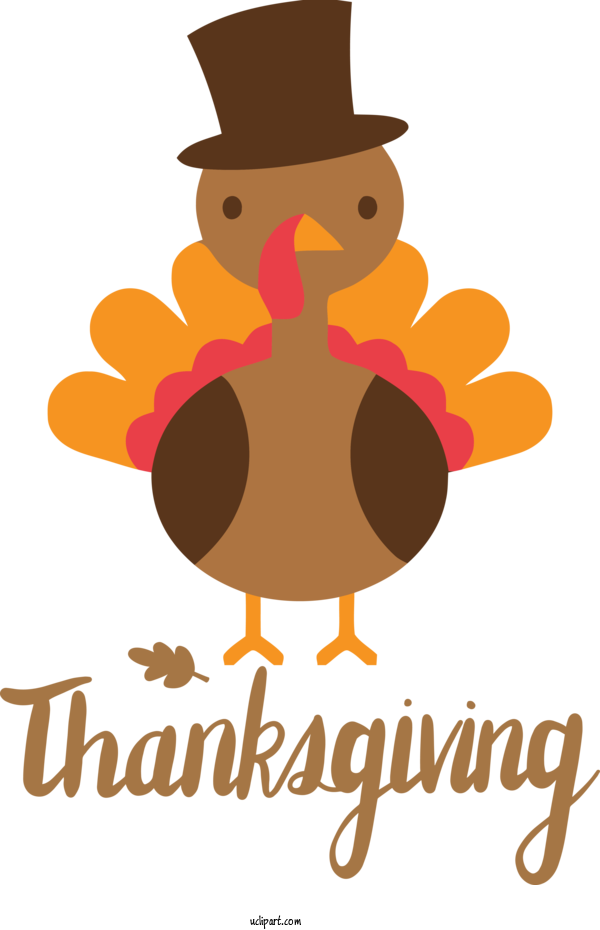 Free Holidays Birds Logo Cartoon For Thanksgiving Clipart Transparent Background