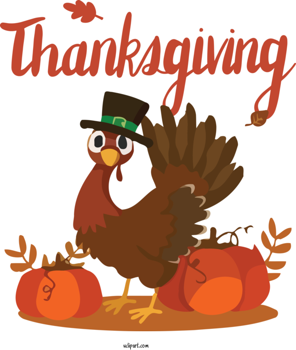 Free Holidays Thanksgiving Wild Turkey Thanksgiving Dinner For Thanksgiving Clipart Transparent Background