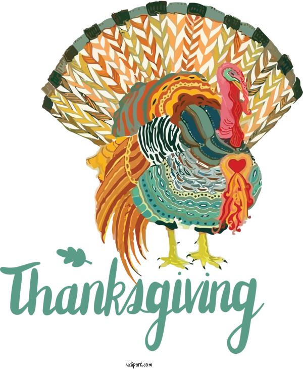 Free Holidays Rooster Beak YouTube For Thanksgiving Clipart Transparent Background