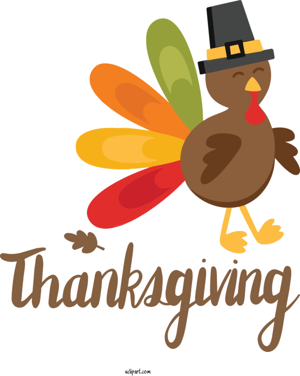 Free Holidays Birds Logo Cartoon For Thanksgiving Clipart Transparent Background