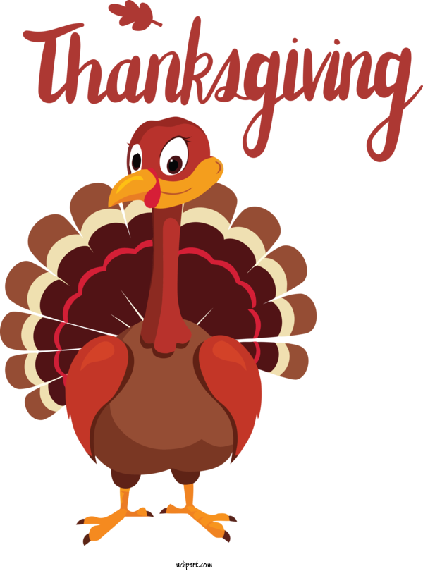 Free Holidays Wild Turkey Turkey Meat Thanksgiving Dinner For Thanksgiving Clipart Transparent Background