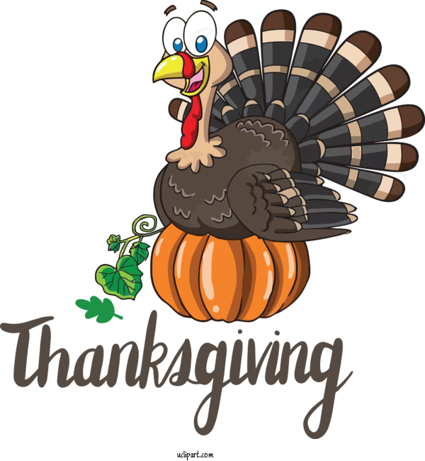 Free Holidays Thanksgiving Turkey Meat Cartoon For Thanksgiving Clipart Transparent Background
