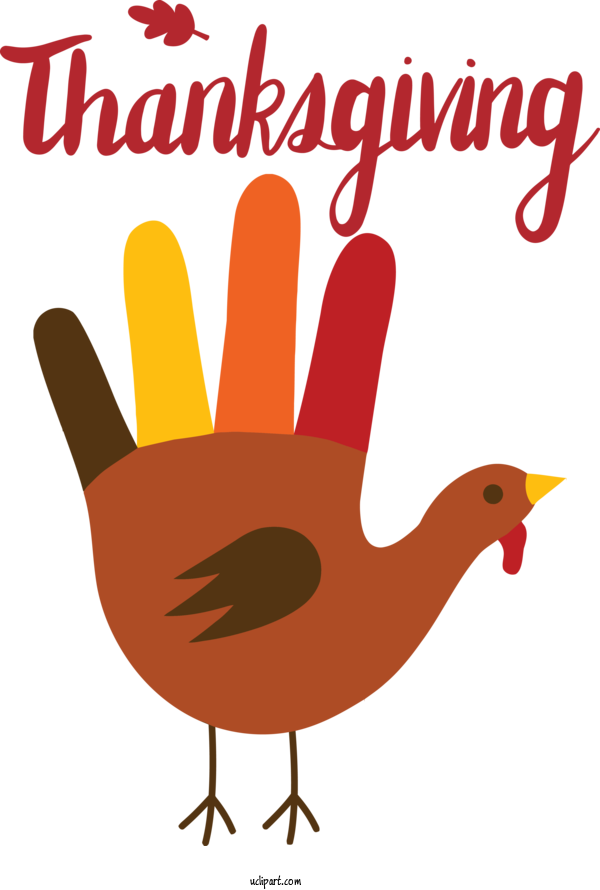 Free Holidays Landfowl Chicken Turkey For Thanksgiving Clipart Transparent Background