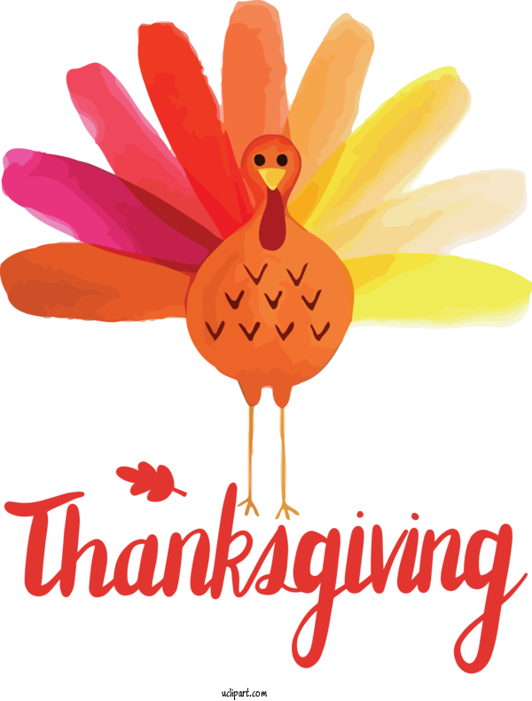 Free Holidays Birds Flower Cartoon For Thanksgiving Clipart Transparent Background